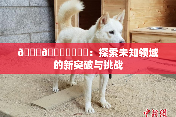 🍆🍑❌‌❌‌：探索未知领域的新突破与挑战