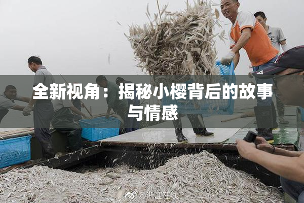 全新视角：揭秘小樱背后的故事与情感