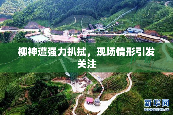柳神遭强力扒拭，现场情形引发关注