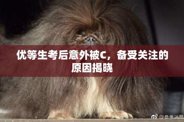 优等生考后意外被C，备受关注的原因揭晓