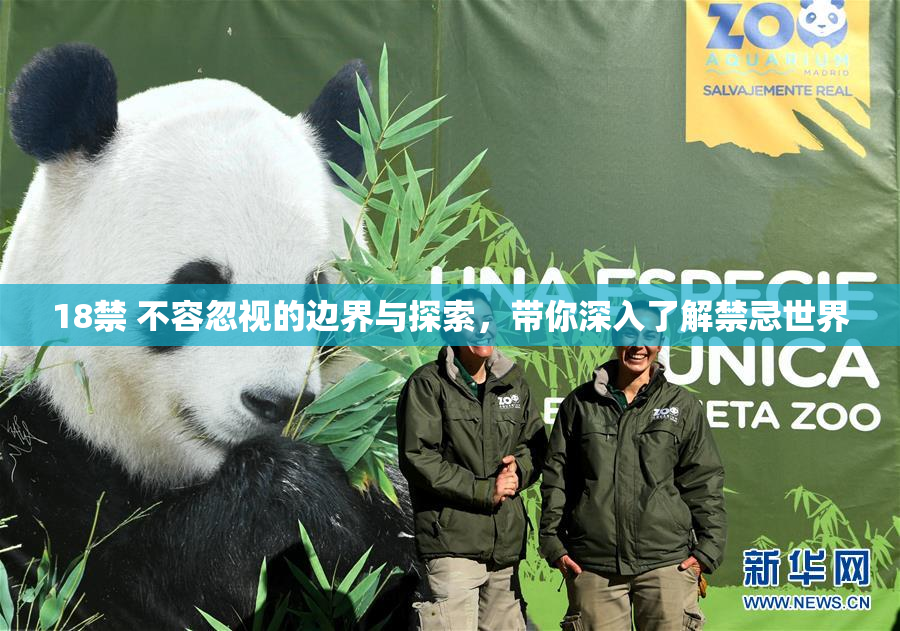 18禁 不容忽视的边界与探索，带你深入了解禁忌世界