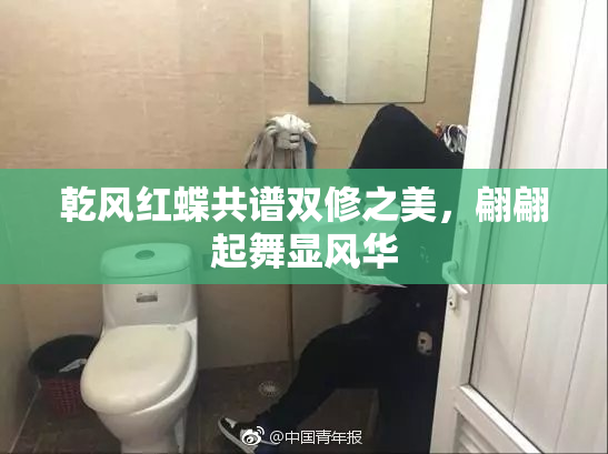 乾风红蝶共谱双修之美，翩翩起舞显风华