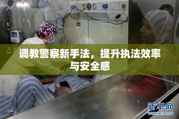 调教警察新手法，提升执法效率与安全感