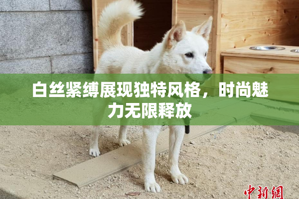 白丝紧缚展现独特风格，时尚魅力无限释放