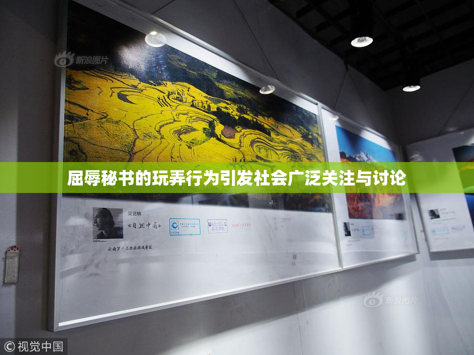 屈辱秘书的玩弄行为引发社会广泛关注与讨论