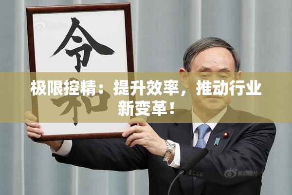 极限控精：提升效率，推动行业新变革！