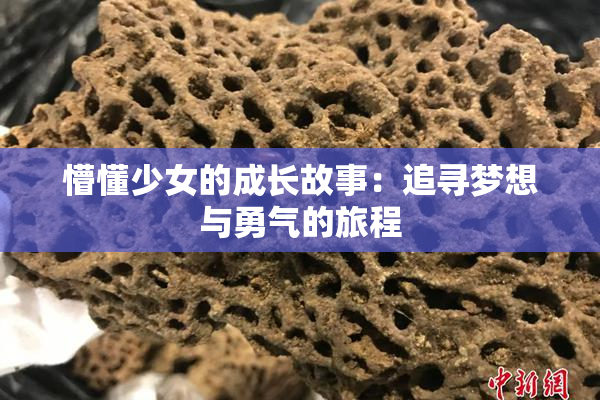 懵懂少女的成长故事：追寻梦想与勇气的旅程