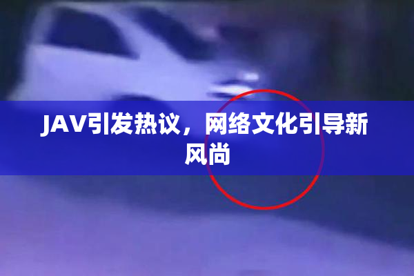 JAV引发热议，网络文化引导新风尚