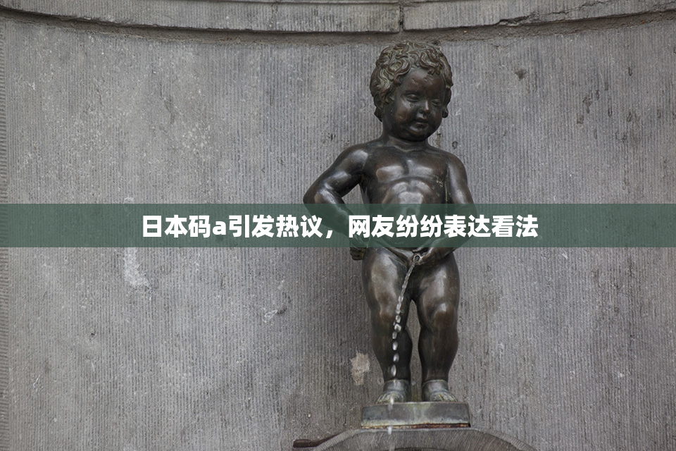 日本码a引发热议，网友纷纷表达看法