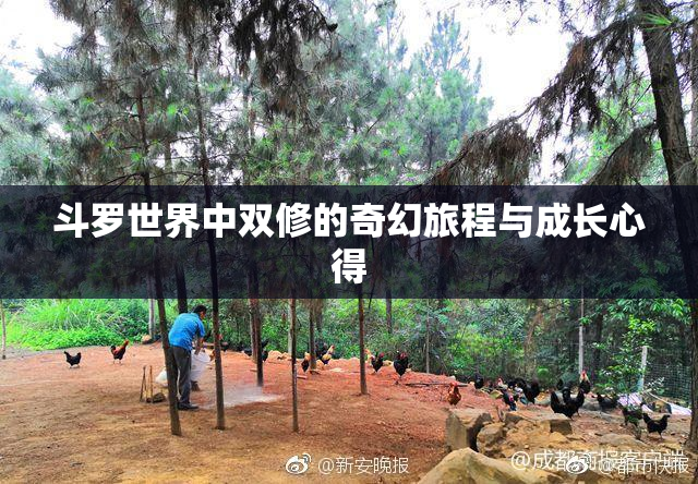 斗罗世界中双修的奇幻旅程与成长心得