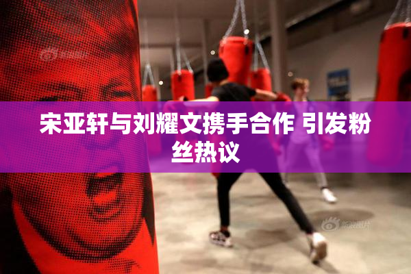 宋亚轩与刘耀文携手合作 引发粉丝热议