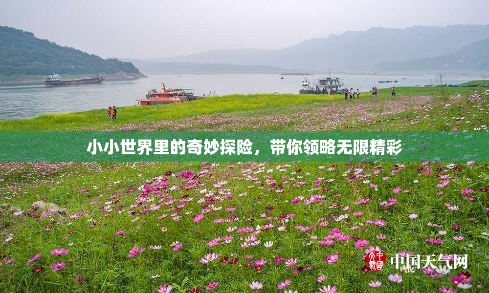 小小世界里的奇妙探险，带你领略无限精彩