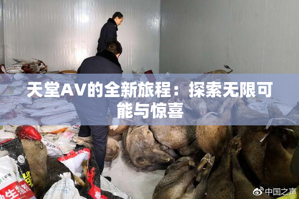 天堂A∨的全新旅程：探索无限可能与惊喜