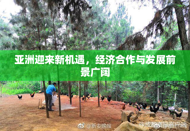 亚洲迎来新机遇，经济合作与发展前景广阔