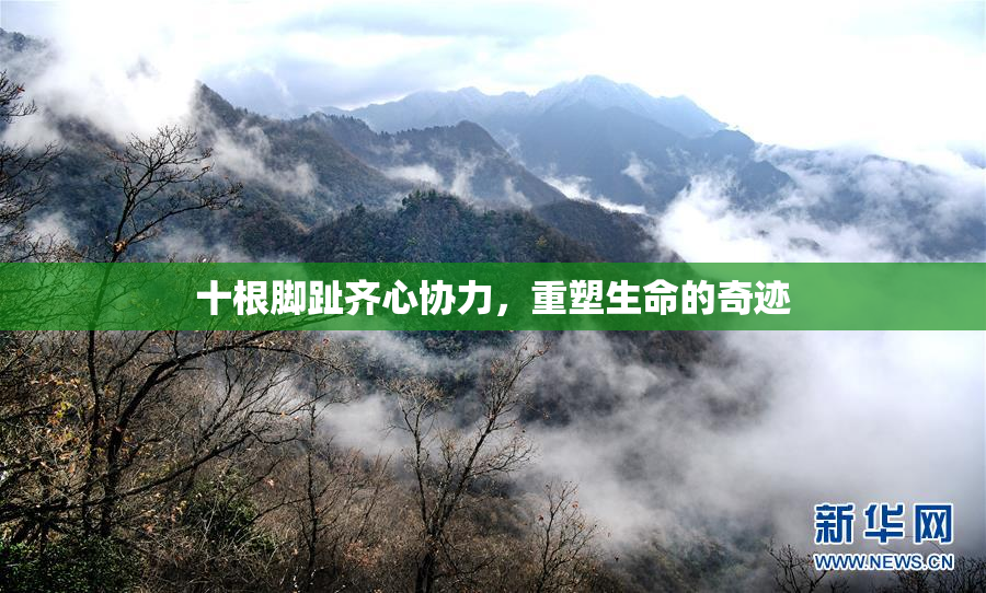 十根脚趾齐心协力，重塑生命的奇迹