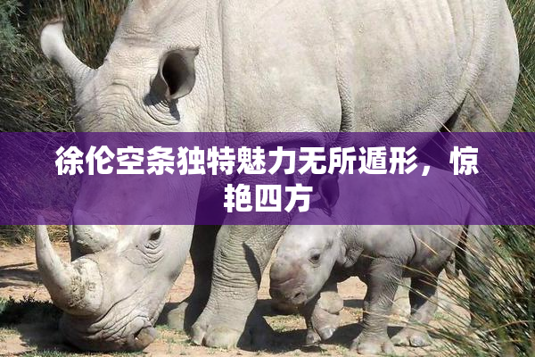 徐伦空条独特魅力无所遁形，惊艳四方