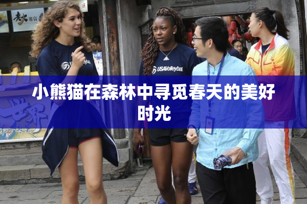 小熊猫在森林中寻觅春天的美好时光