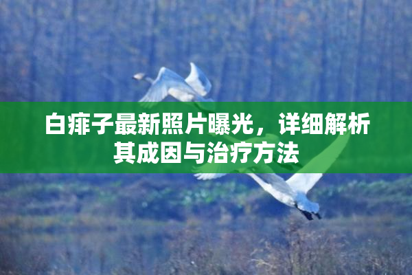 白痱子最新照片曝光，详细解析其成因与治疗方法