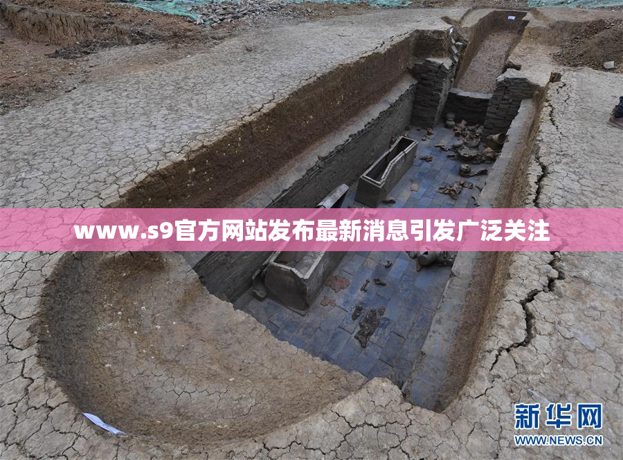 www.s9官方网站发布最新消息引发广泛关注