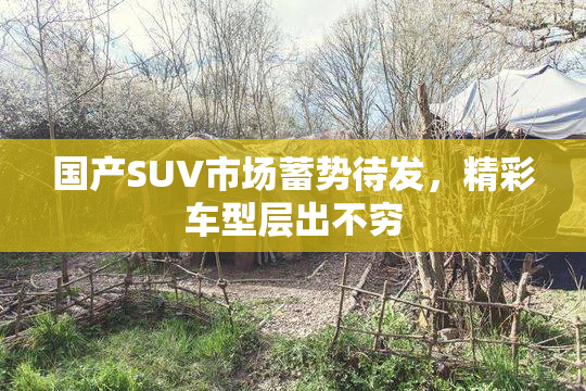 国产SUV市场蓄势待发，精彩车型层出不穷