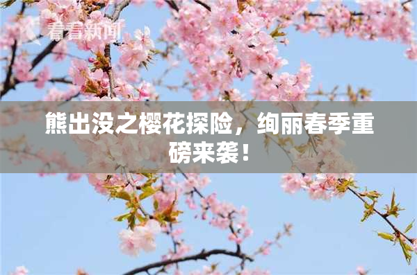 熊出没之樱花探险，绚丽春季重磅来袭！