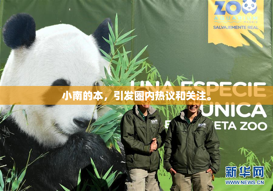 小南的本，引发圈内热议和关注。