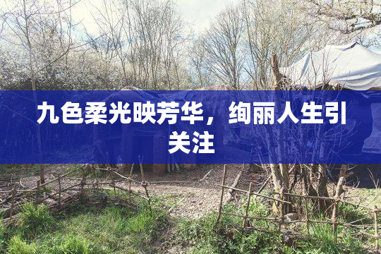 九色柔光映芳华，绚丽人生引关注
