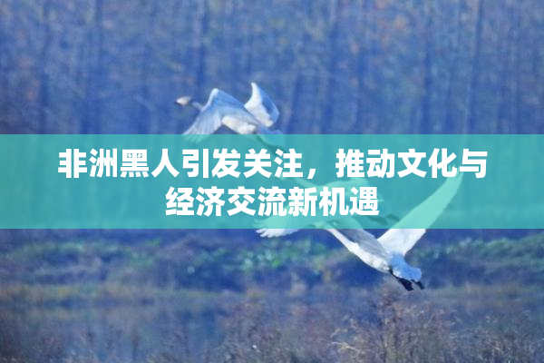 非洲黑人引发关注，推动文化与经济交流新机遇