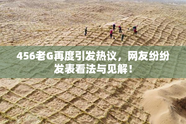 456老G再度引发热议，网友纷纷发表看法与见解！