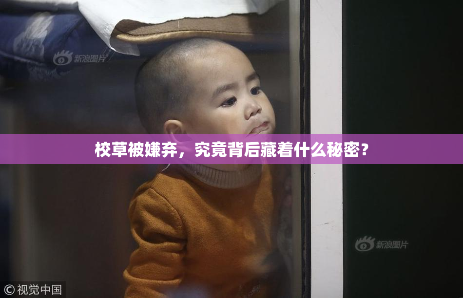 校草被嫌弃，究竟背后藏着什么秘密？