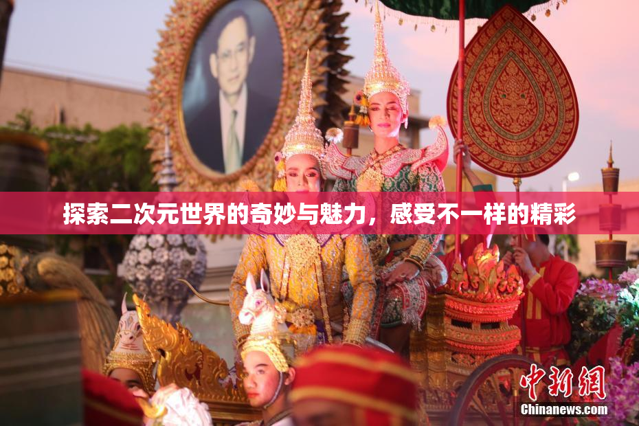 探索二次元世界的奇妙与魅力，感受不一样的精彩