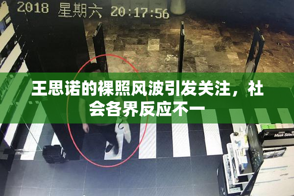 王思诺的裸照风波引发关注，社会各界反应不一
