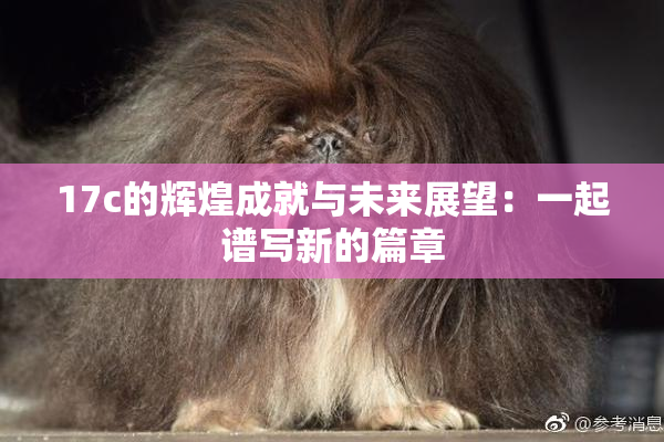 17c的辉煌成就与未来展望：一起谱写新的篇章