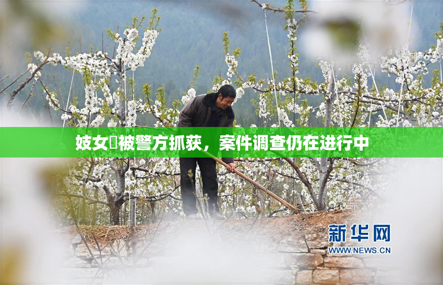 妓女梱被警方抓获，案件调查仍在进行中