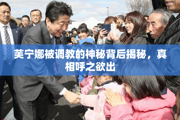 芙宁娜被调教的神秘背后揭秘，真相呼之欲出