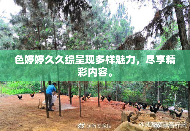 色婷婷久久综呈现多样魅力，尽享精彩内容。