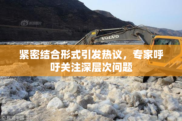 紧密结合形式引发热议，专家呼吁关注深层次问题