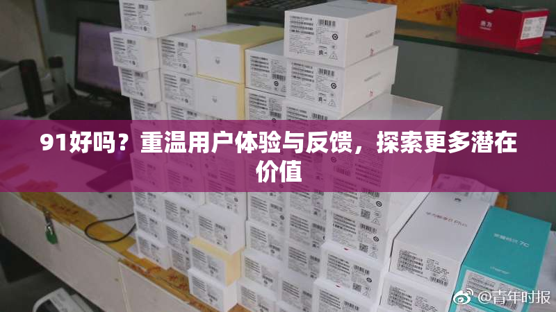 91好吗？重温用户体验与反馈，探索更多潜在价值