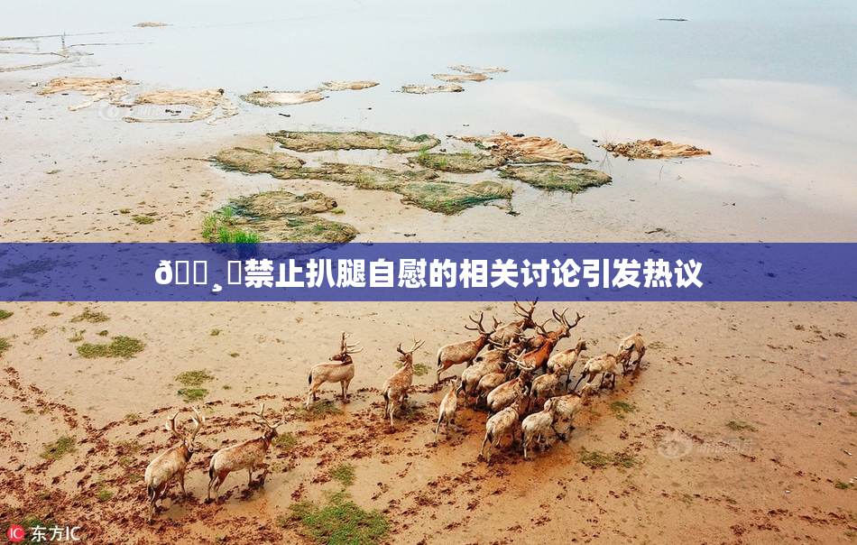 🌸‌禁止扒腿自慰的相关讨论引发热议