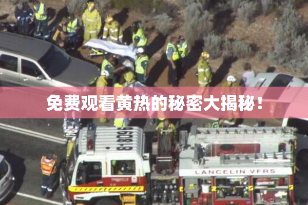 免费观看黄热的秘密大揭秘！