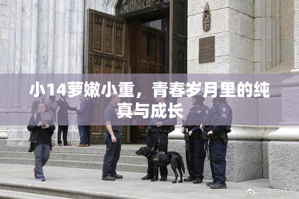 小14萝嫩小重，青春岁月里的纯真与成长