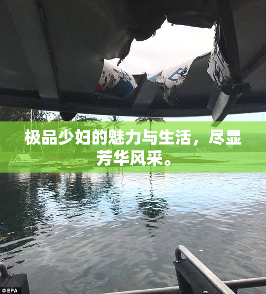 极品少妇的魅力与生活，尽显芳华风采。