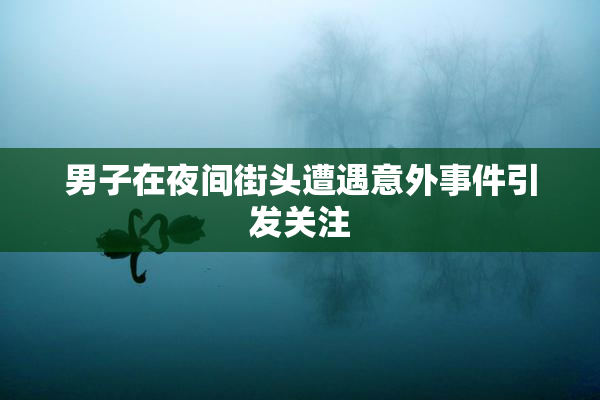 男子在夜间街头遭遇意外事件引发关注