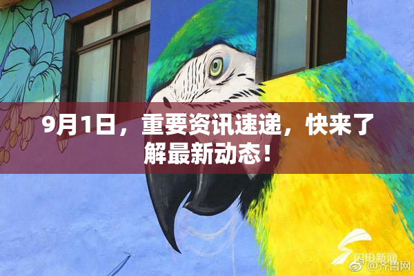 9月1日，重要资讯速递，快来了解最新动态！
