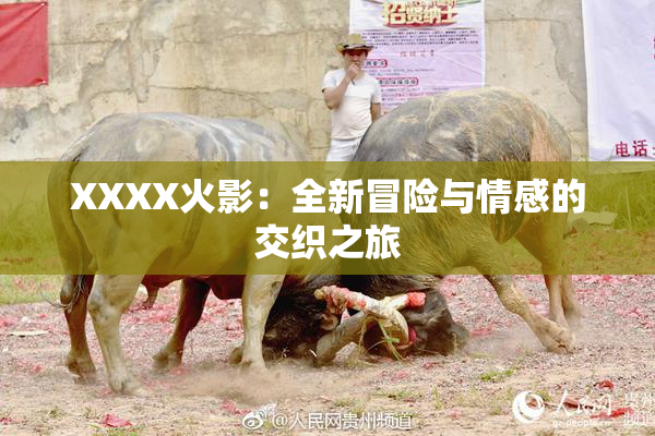 XXXX火影：全新冒险与情感的交织之旅