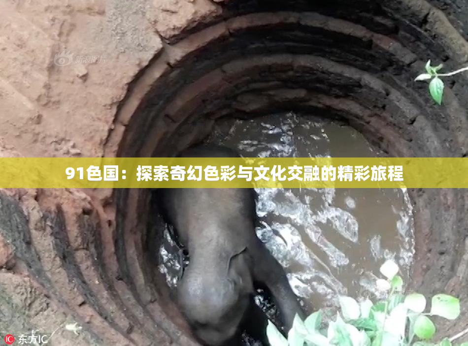 91色国：探索奇幻色彩与文化交融的精彩旅程