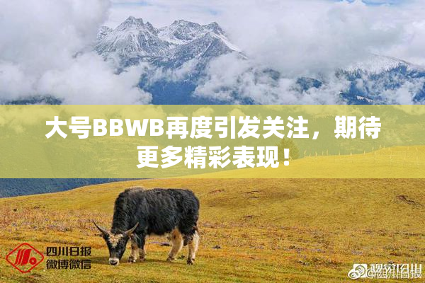 大号BBWB再度引发关注，期待更多精彩表现！