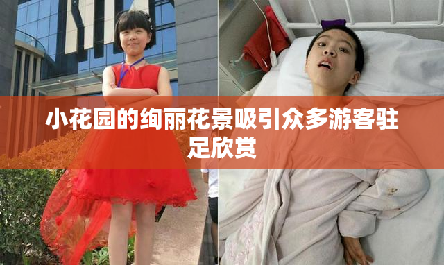 小花园的绚丽花景吸引众多游客驻足欣赏