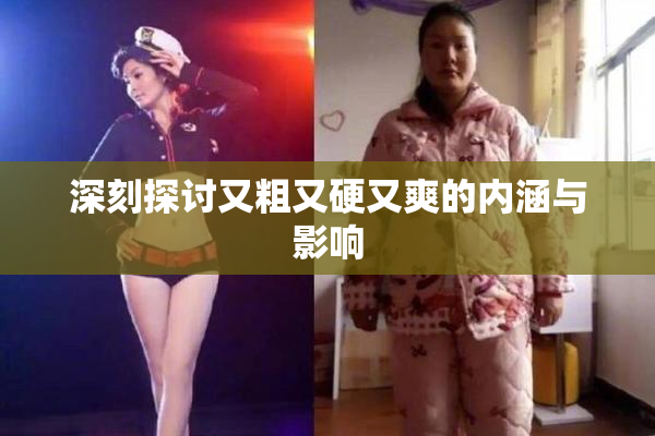 深刻探讨又粗又硬又爽的内涵与影响