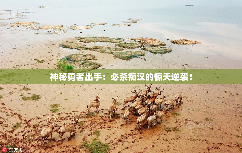神秘勇者出手：必杀痴汉的惊天逆袭！